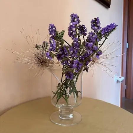 Apartamento Family Woodland Oasis Vipgreece *