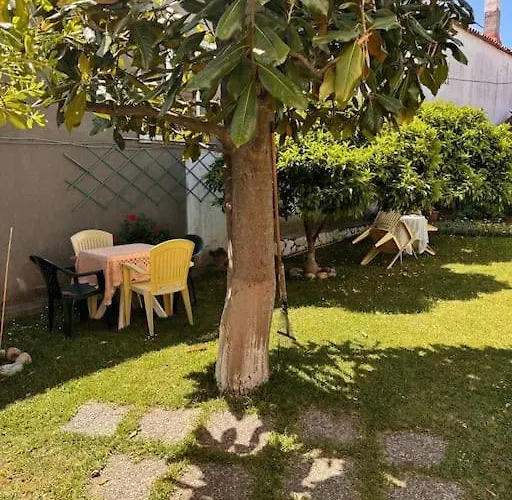 Family Woodland Oasis Vipgreece Κήρινθος